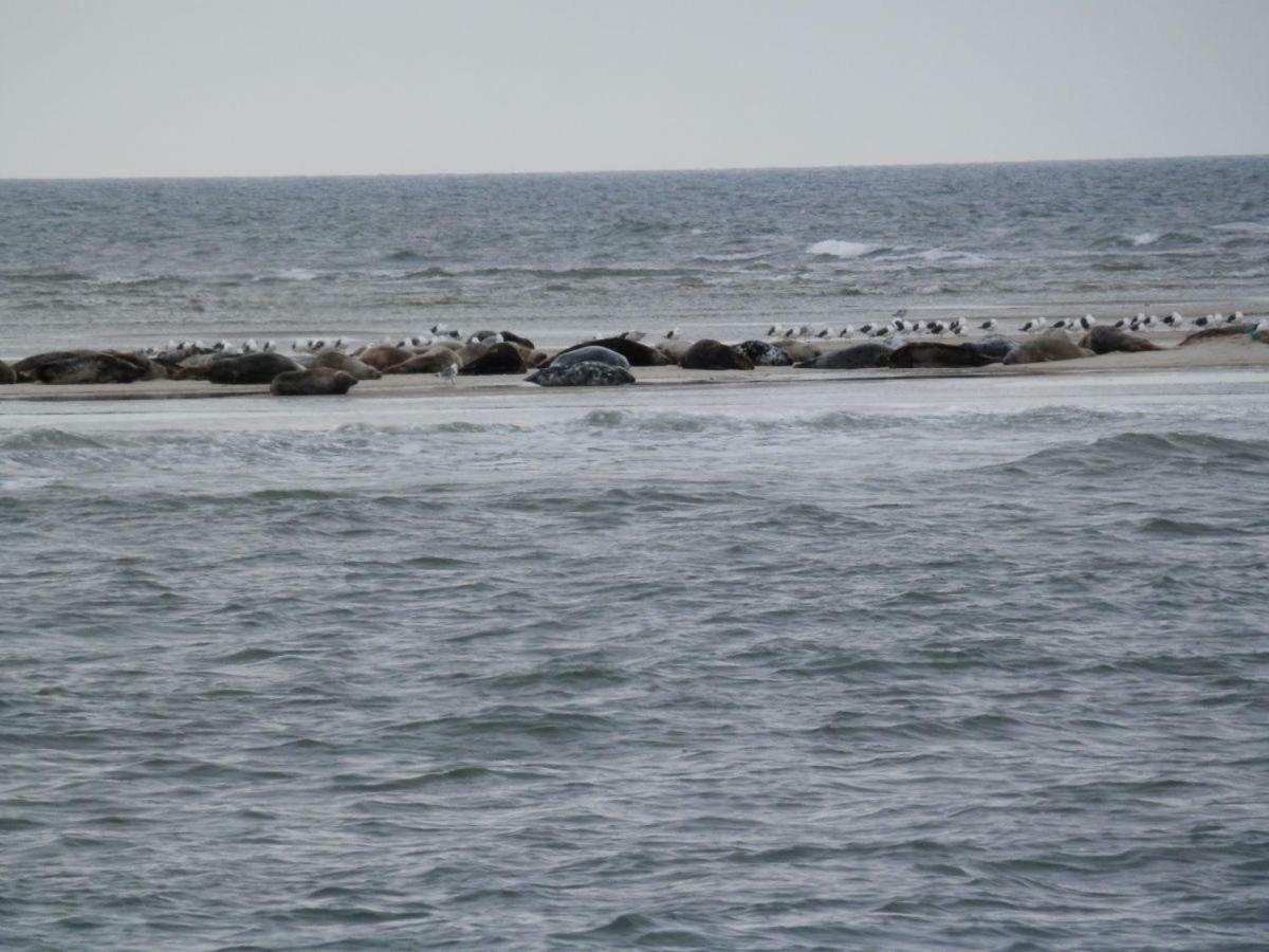 Jugendherberge Westerland Bagian luar foto