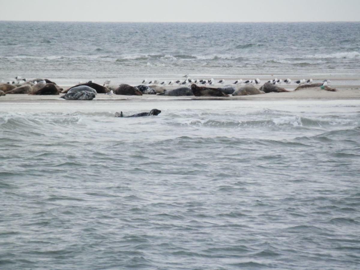 Jugendherberge Westerland Bagian luar foto